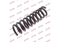 Coil Spring K-Flex RA5366 Kayaba