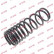 Coil Spring K-Flex RA5503 Kayaba