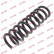 Coil Spring K-Flex RA5671 Kayaba