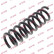 Coil Spring K-Flex RA5675 Kayaba