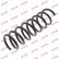 Coil Spring K-Flex RA5743 Kayaba