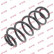 Coil Spring K-Flex RA6100 Kayaba