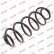Coil Spring K-Flex RA6101 Kayaba