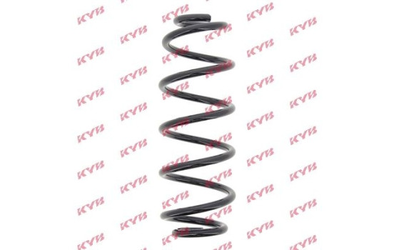 Coil Spring K-Flex RA6102 Kayaba, Image 2