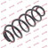 Coil Spring K-Flex RA6102 Kayaba