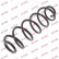 Coil Spring K-Flex RA6104 Kayaba