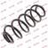 Coil Spring K-Flex RA6105 Kayaba