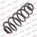 Coil Spring K-Flex RA6107 Kayaba