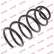 Coil Spring K-Flex RA6108 Kayaba