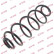 Coil Spring K-Flex RA6109 Kayaba