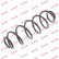 Coil Spring K-Flex RA6111 Kayaba