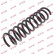 Coil Spring K-Flex RA6117 Kayaba