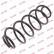Coil Spring K-Flex RA6119 Kayaba