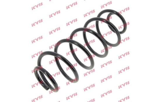 Coil Spring K-Flex RA6119 Kayaba