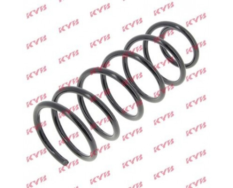 Coil Spring K-Flex RA6123 Kayaba