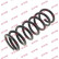 Coil Spring K-Flex RA6128 Kayaba