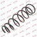 Coil Spring K-Flex RA6130 Kayaba