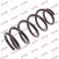 Coil Spring K-Flex RA6134 Kayaba