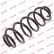 Coil Spring K-Flex RA6145 Kayaba