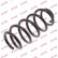 Coil Spring K-Flex RA6153 Kayaba
