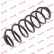 Coil Spring K-Flex RA6156 Kayaba