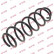Coil Spring K-Flex RA6159 Kayaba