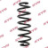 Coil Spring K-Flex RA6166 Kayaba