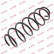 Coil Spring K-Flex RA6167 Kayaba