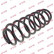 Coil Spring K-Flex RA6178 Kayaba