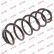 Coil Spring K-Flex RA6179 Kayaba