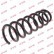 Coil Spring K-Flex RA6183 Kayaba