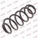Coil Spring K-Flex RA6189 Kayaba