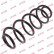 Coil Spring K-Flex RA6193 Kayaba