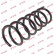 Coil Spring K-Flex RA6201 Kayaba
