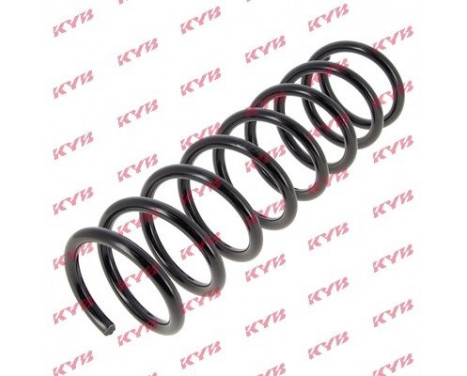 Coil Spring K-Flex RA6203 Kayaba