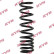 Coil Spring K-Flex RA6204 Kayaba
