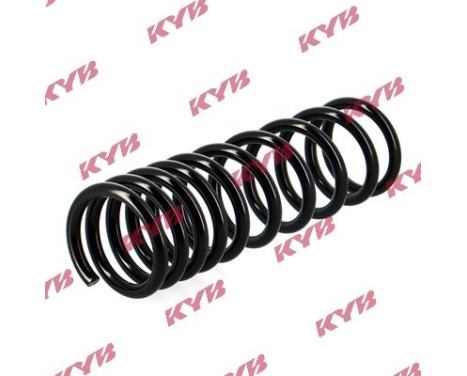 Coil Spring K-Flex RA6204 Kayaba, Image 2