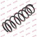 Coil Spring K-Flex RA6205 Kayaba