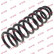 Coil Spring K-Flex RA6209 Kayaba