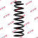 Coil Spring K-Flex RA6211 Kayaba