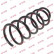 Coil Spring K-Flex RA6215 Kayaba
