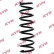 Coil Spring K-Flex RA6222 Kayaba