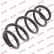 Coil Spring K-Flex RA6245 Kayaba