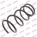 Coil Spring K-Flex RA6250 Kayaba