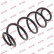 Coil Spring K-Flex RA6252 Kayaba