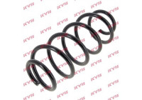 Coil Spring K-Flex RA6256 Kayaba