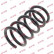 Coil Spring K-Flex RA6257 Kayaba