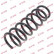 Coil Spring K-Flex RA6263 Kayaba