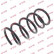 Coil Spring K-Flex RA6285 Kayaba