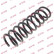 Coil Spring K-Flex RA6439 Kayaba